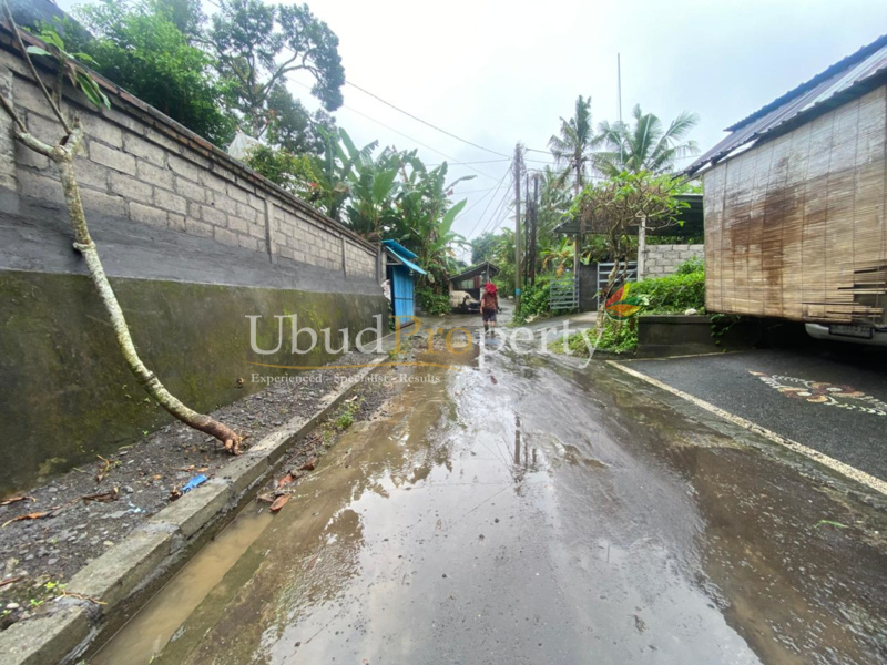 Ubud Property Land For Lease in Ubud Bali