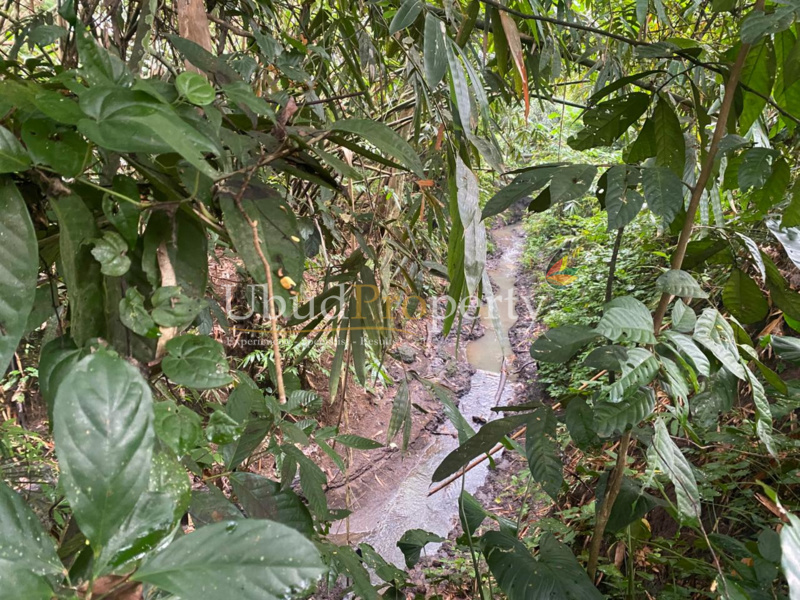 Ubud Property Land For Lease in Ubud Bali