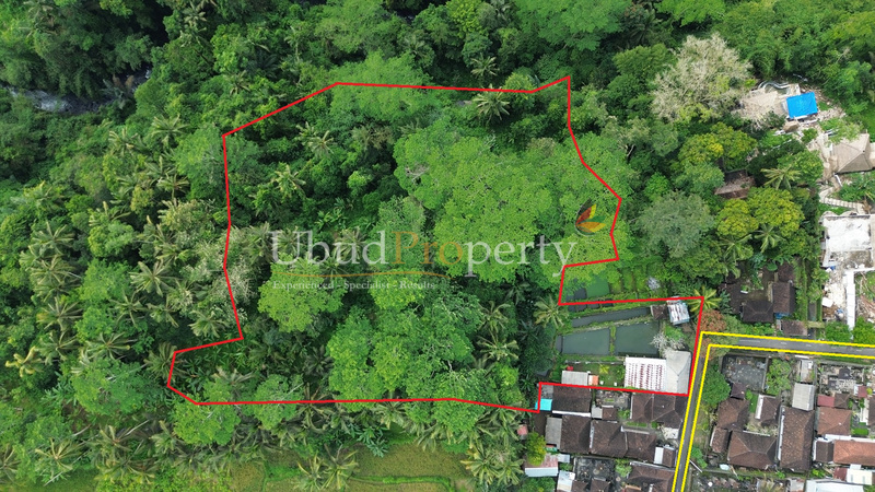 Land For Sale Leasehold in Ubud Bali