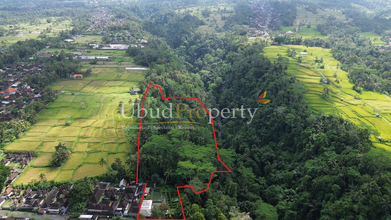 Ubud Property Land For Lease in Ubud Bali