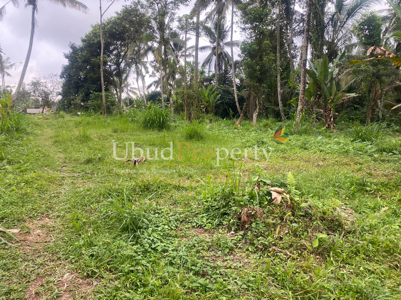 Ubud Property Land For Sale in Ubud Bali