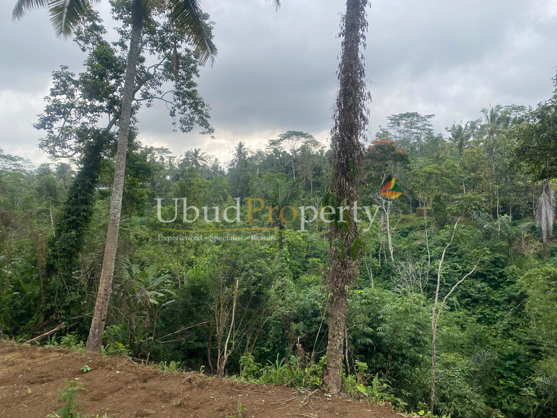 Ubud Property Land For Sale in Ubud Bali