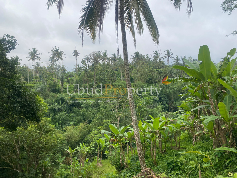 Ubud Property Land For Sale in Ubud Bali