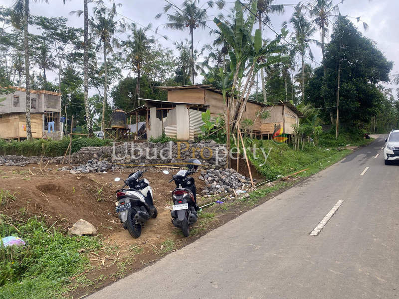 Ubud Property Land For Sale in Ubud Bali
