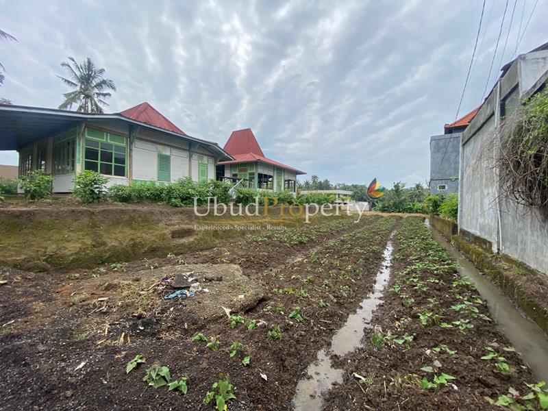 Ubud Property Villa For Sale in Ubud Bali
