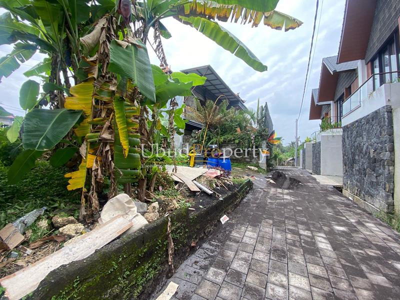 Ubud Property Villa For Sale in Ubud Bali