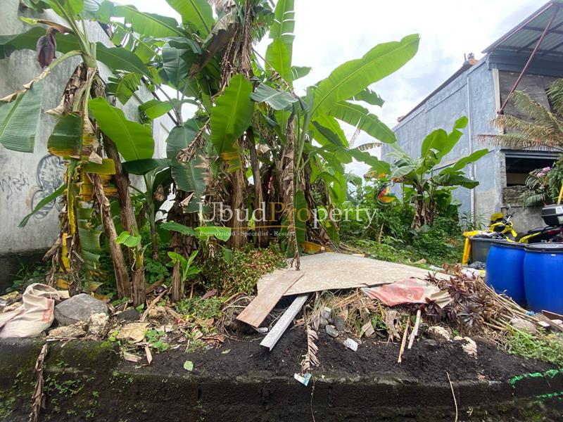 Ubud Property Villa For Sale in Ubud Bali