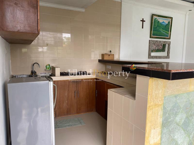 Ubud Property Villa For Sale in Ubud Bali