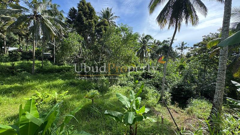 Ubud Property Land For Sale in Ubud Bali
