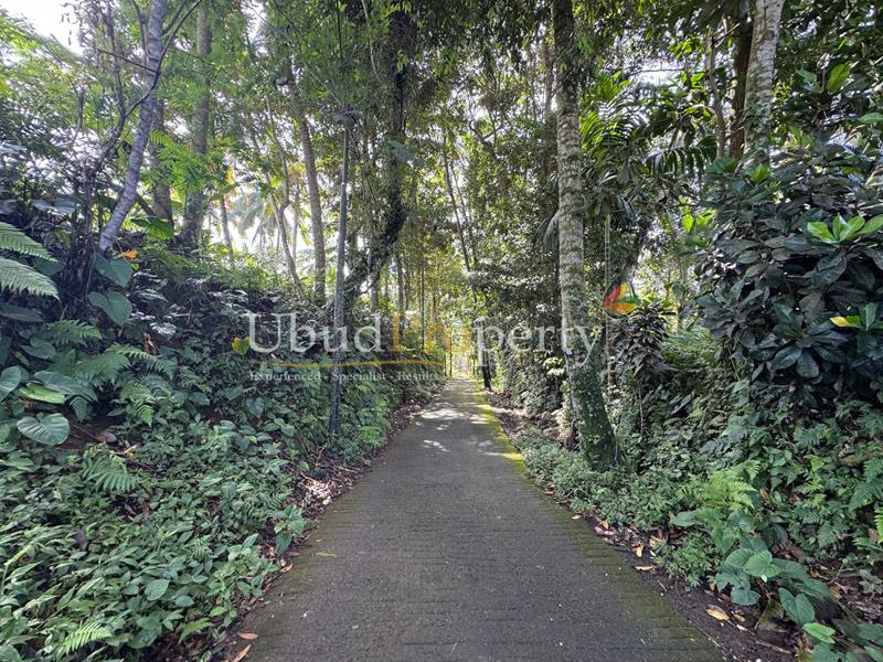 Land For Sale Leasehold in Ubud Bali