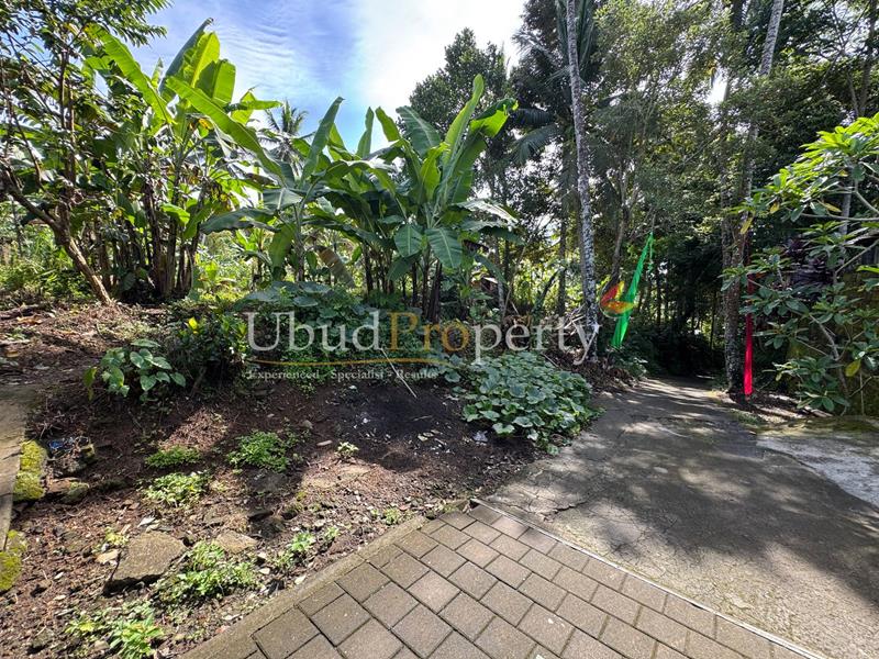Ubud Property Land For Sale in Ubud Bali