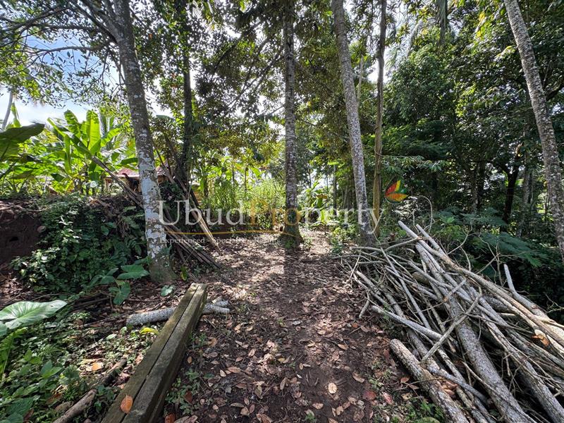 Ubud Property Land For Sale in Ubud Bali