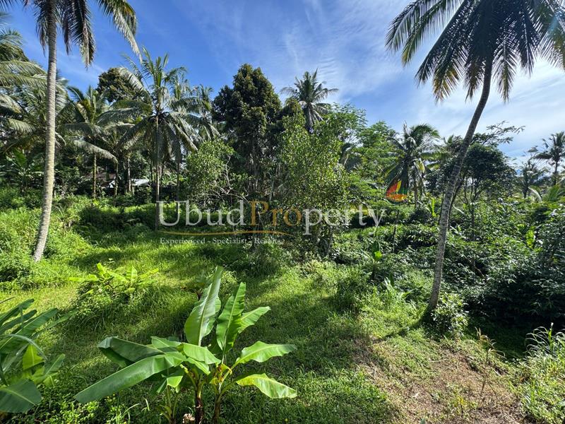 Ubud Property Land For Sale in Ubud Bali