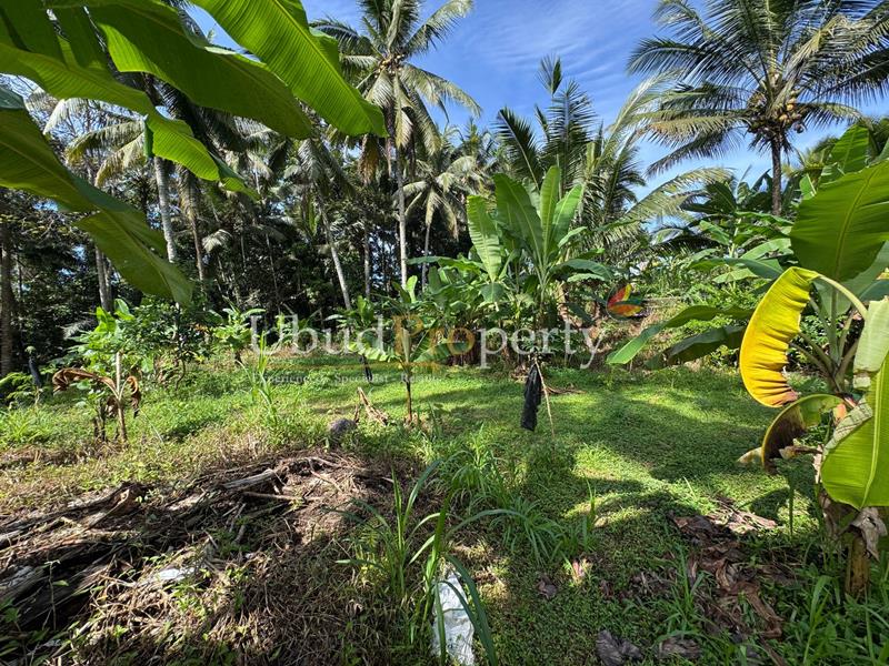 Ubud Property Land For Sale in Ubud Bali