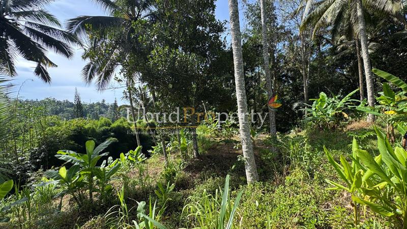 Ubud Property Land For Sale in Ubud Bali