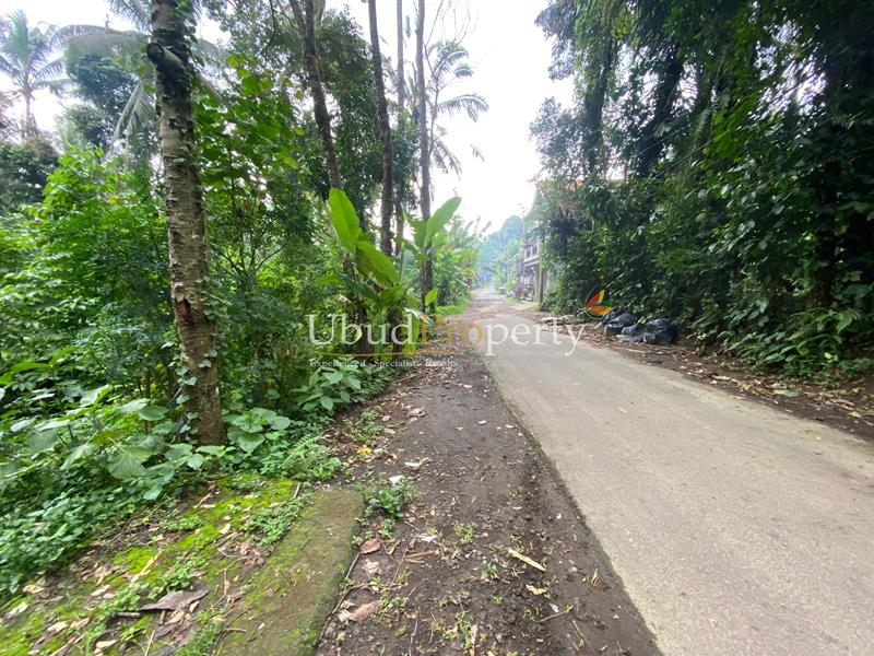 Ubud Property Land For Sale in Ubud Bali
