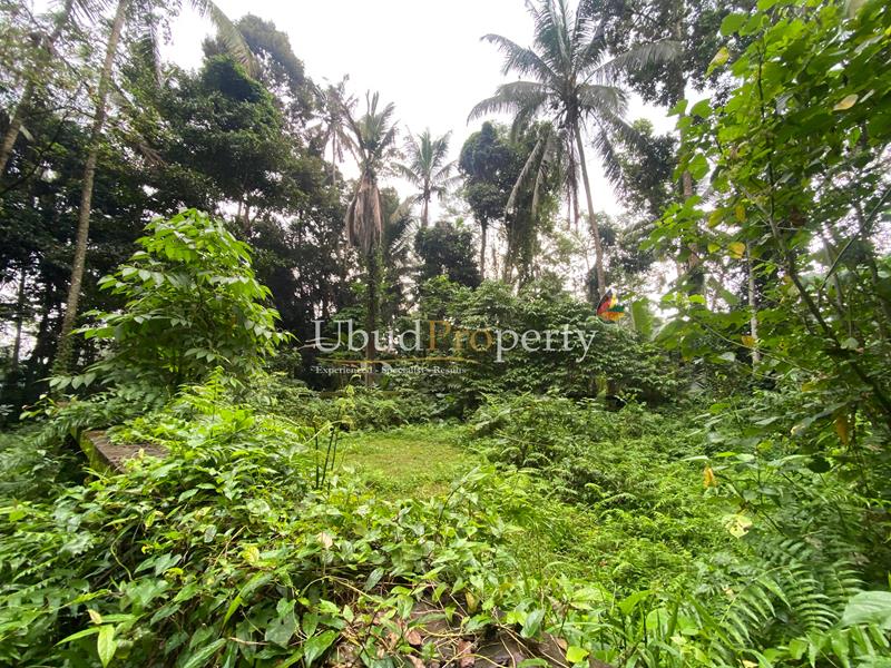Ubud Property Land For Sale in Ubud Bali