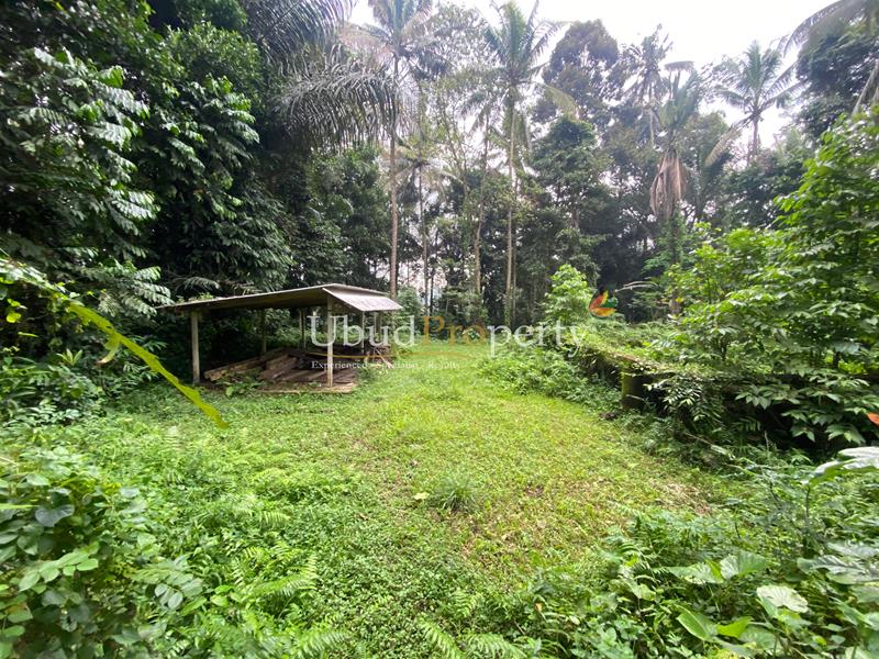 Ubud Property Land For Sale in Ubud Bali