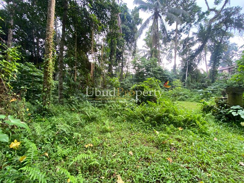 Ubud Property Land For Sale in Ubud Bali