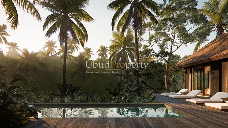 Ubud Property Villa For Sale in Ubud Bali