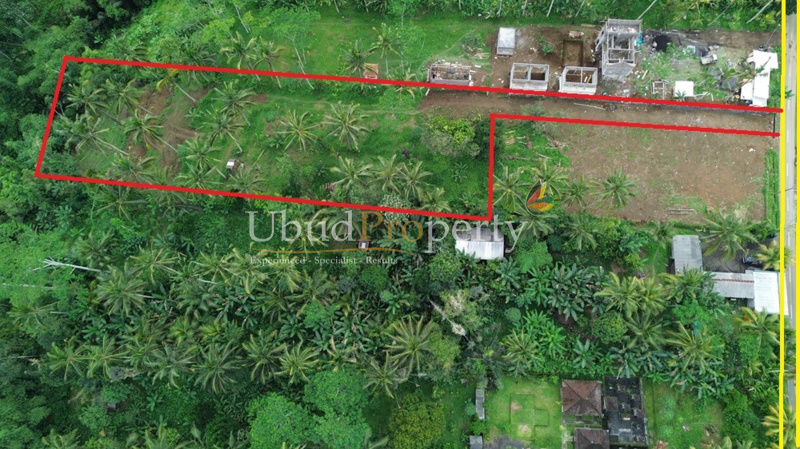 Land For Sale Freehold in Ubud Bali