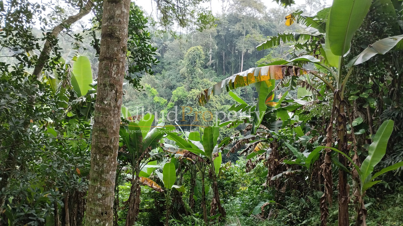 Ubud Property Land For Lease in Ubud Bali