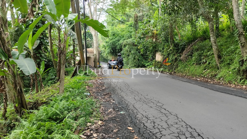 Ubud Property Land For Lease in Ubud Bali