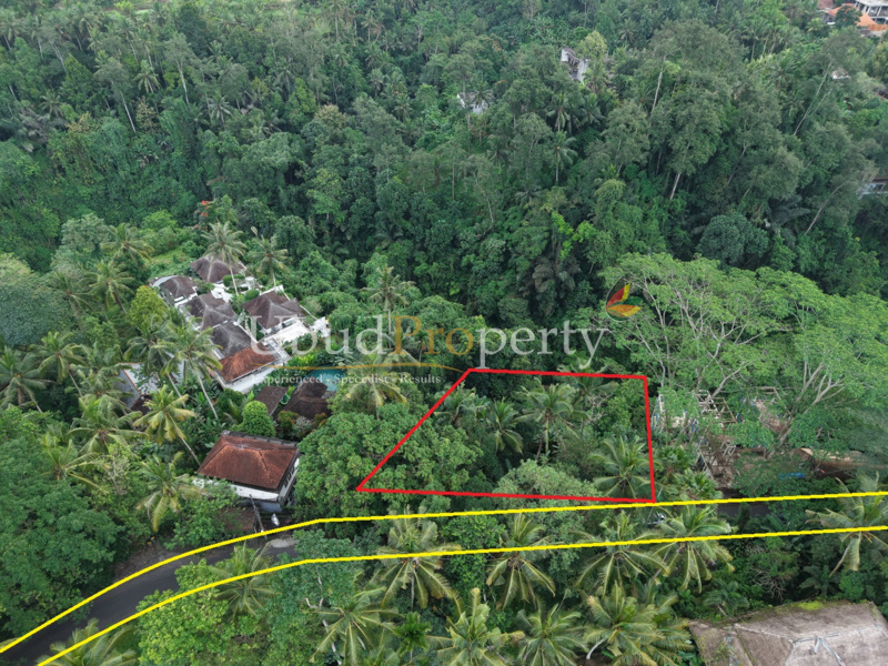 Ubud Property Land For Lease in Ubud Bali
