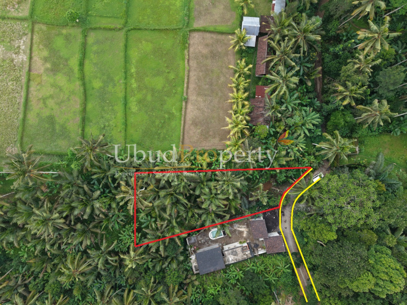 Land For Sale Leasehold in Ubud Bali