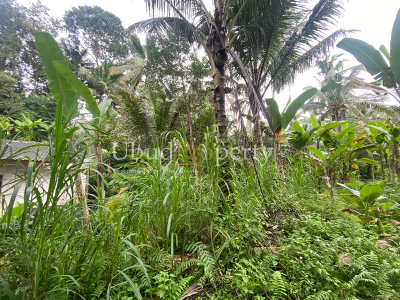 Ubud Property Land For Lease in Ubud Bali