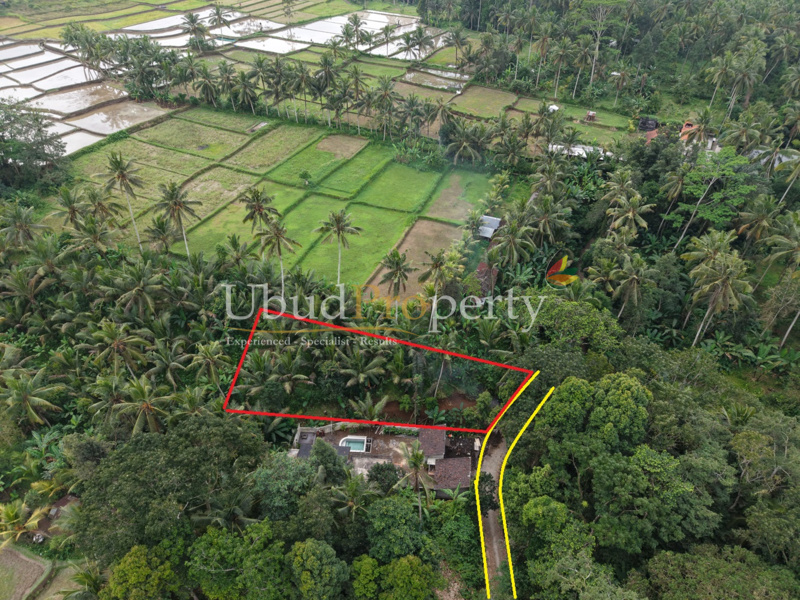 Ubud Property Land For Lease in Ubud Bali