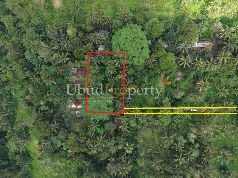 Land For Sale Leasehold in Ubud Bali
