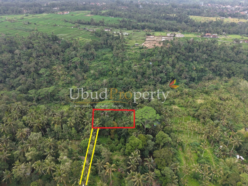Ubud Property Land For Lease in Ubud Bali