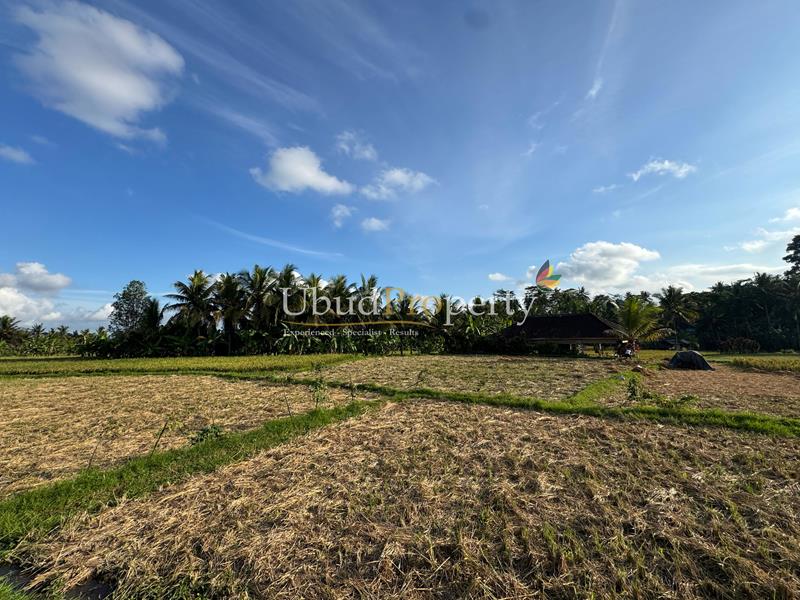 Ubud Property Land For Sale in Ubud Bali