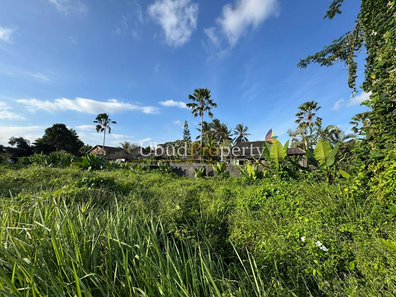 Ubud Property Land For Sale in Ubud Bali