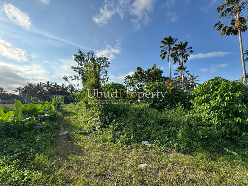 Ubud Property Land For Sale in Ubud Bali