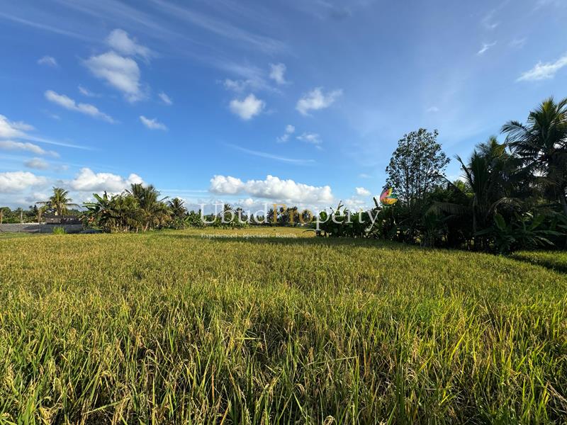 Ubud Property Land For Sale in Ubud Bali