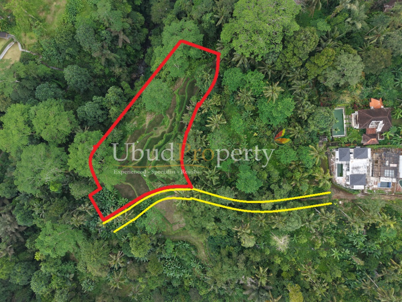 Land For Sale Leasehold in Ubud Bali