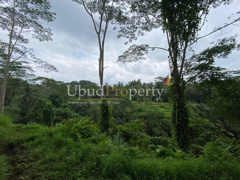 Ubud Property Land For Lease in Ubud Bali