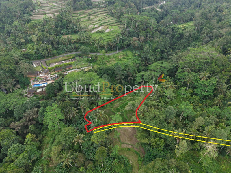 Ubud Property Land For Lease in Ubud Bali