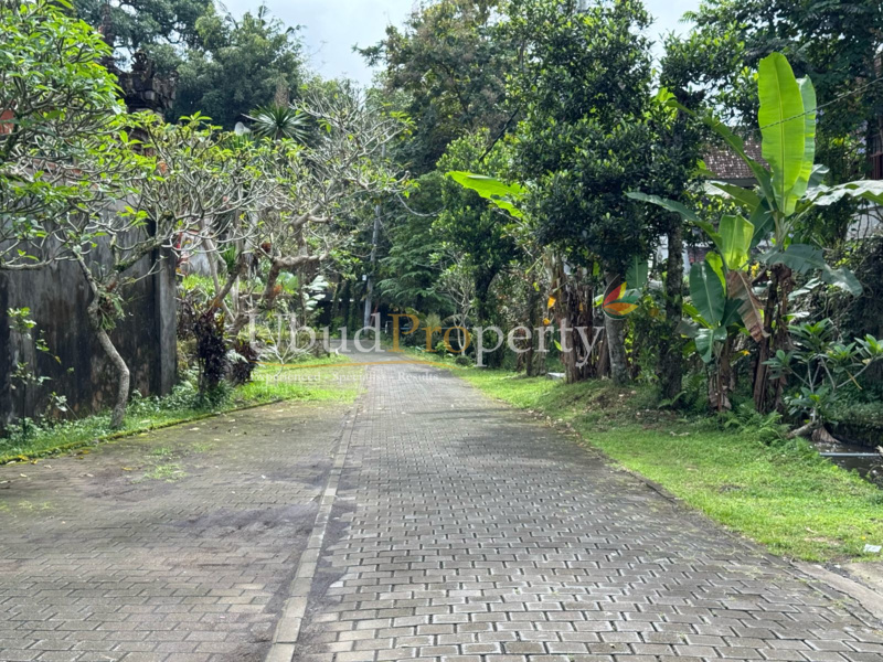 Ubud Property Land For Sale in Ubud Bali