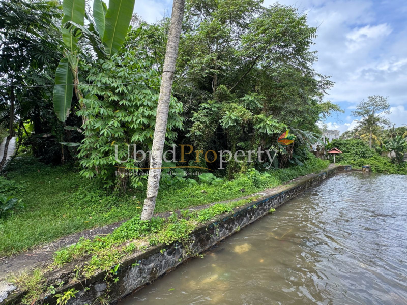 Ubud Property Land For Sale in Ubud Bali