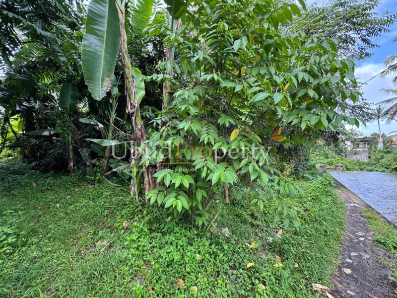 Ubud Property Land For Sale in Ubud Bali