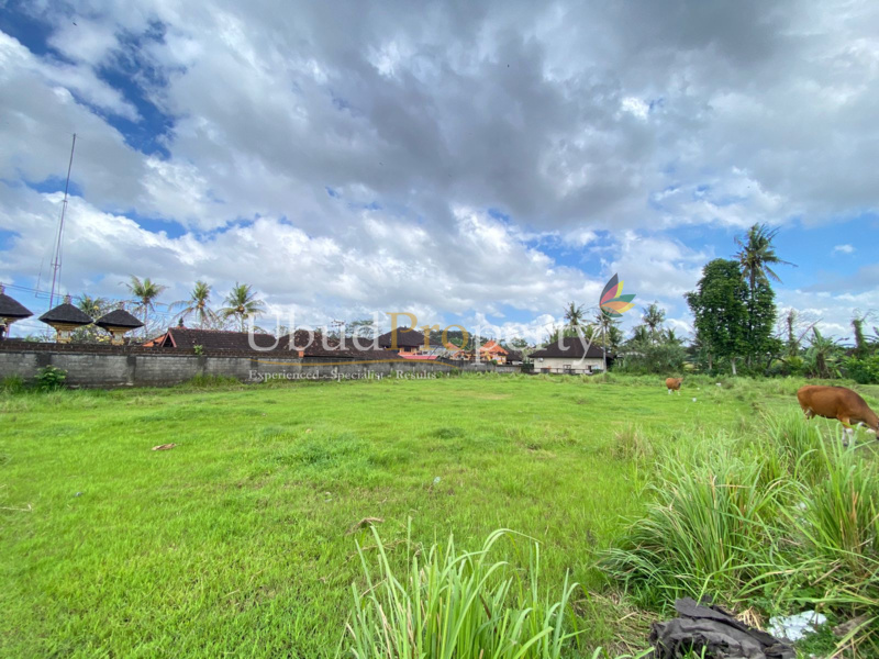 Ubud Property Land For Sale in Ubud Bali