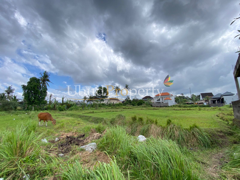 Ubud Property Land For Sale in Ubud Bali
