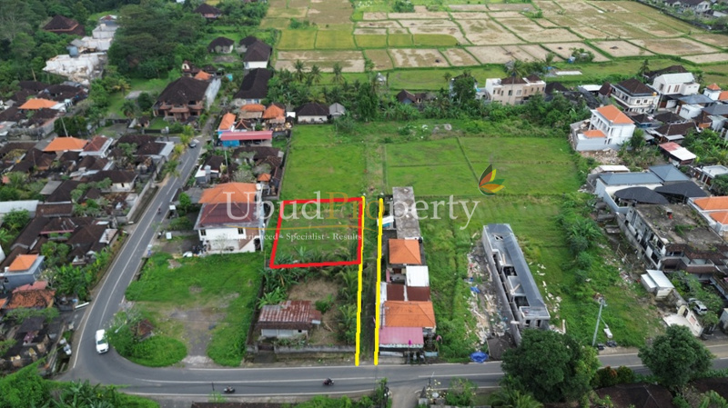 Ubud Property Land For Sale in Ubud Bali
