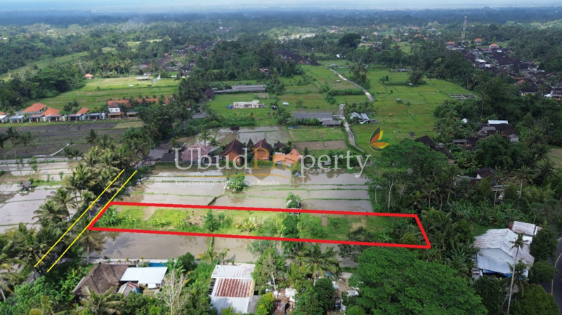 Ubud Property Land For Sale in Ubud Bali