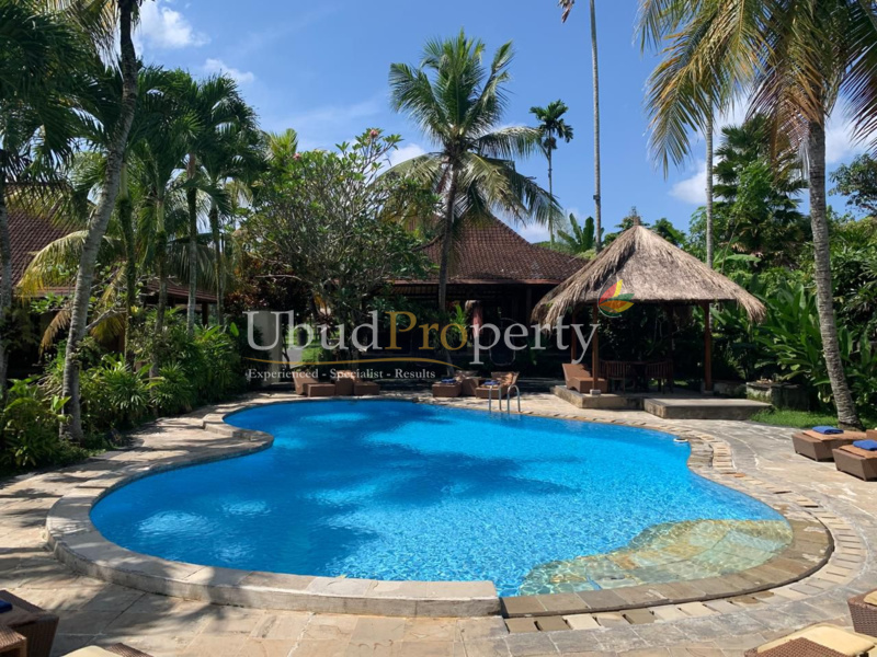 Land For Sale Freehold in Ubud Bali