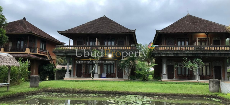 Ubud Property Land For Sale in Ubud Bali