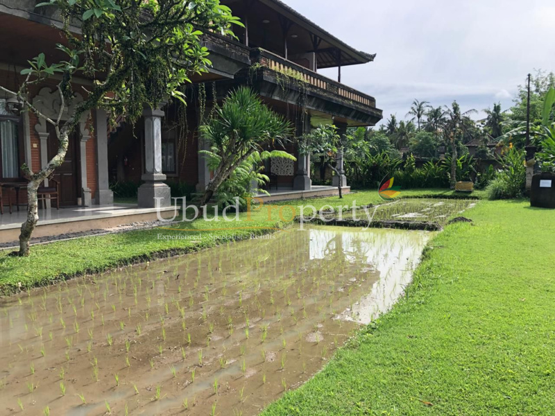 Ubud Property Land For Sale in Ubud Bali